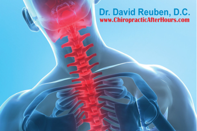 About Dr. David Reuben DC